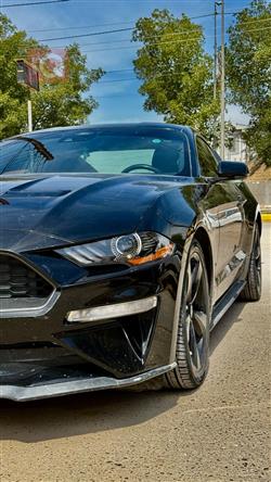 فورد موستانج